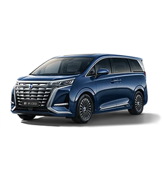 2024款赏金船长D9